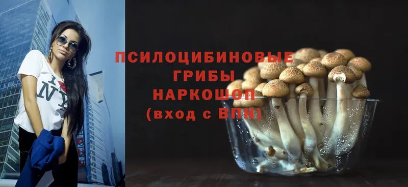 сайты даркнета клад  где продают   Златоуст  Псилоцибиновые грибы Psilocybine cubensis 