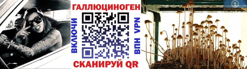 Галлюциногенные грибы Psilocybe  дарнет шоп  Златоуст 