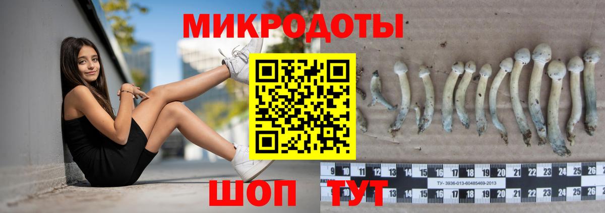 Златоуст  Галлюциногенные грибы Cubensis  Вход с VPN 